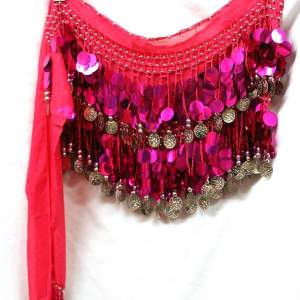 IMG_6618Belly Dancing Skirt - Hot Pink Silver Coins